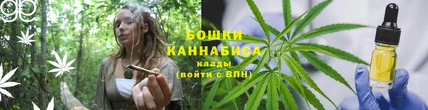 соль ск Нефтегорск