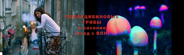 соль ск Нефтегорск