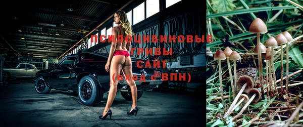 твердый Богданович