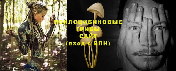 соль ск Нефтегорск