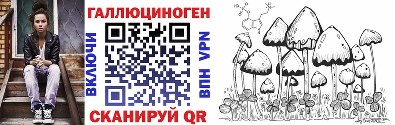Псилоцибиновые грибы Magic Shrooms  мега маркетплейс  Чусовой  наркота 