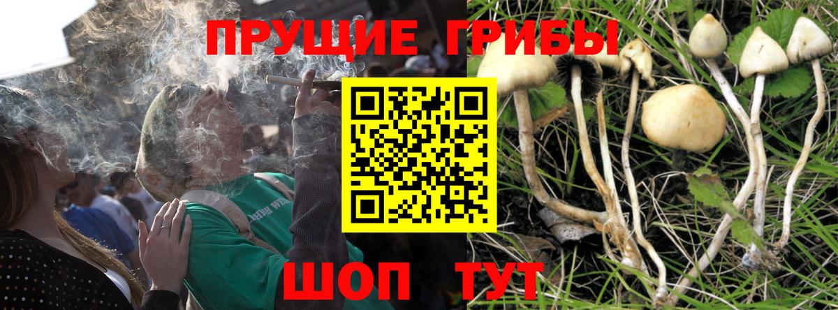 Чусовой  Галлюциногенные грибы MAGIC MUSHROOMS  Вход с VPN 