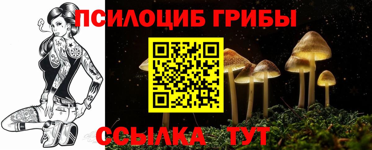Галлюциногенные грибы Magic Shrooms Чусовой